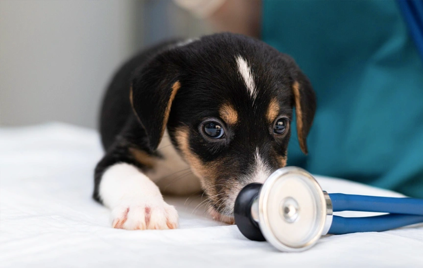 セカンドオピニオン title=