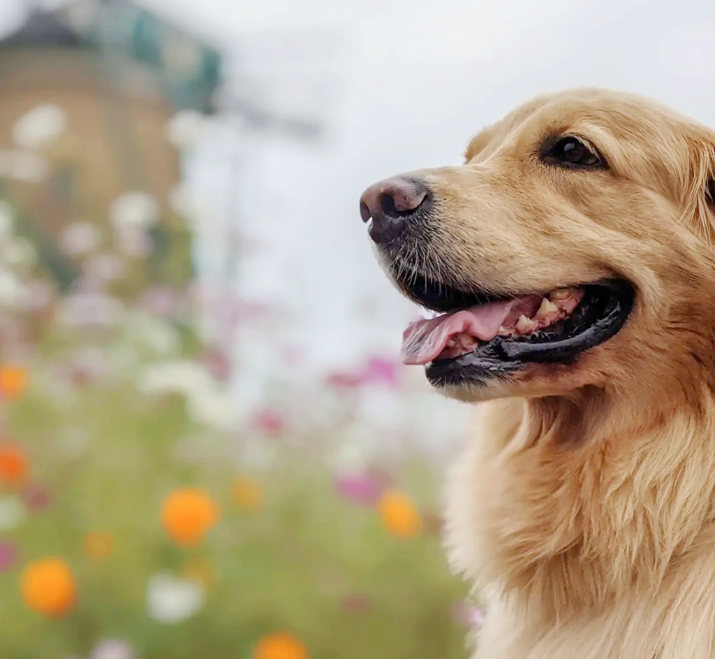 診療案内イメージ